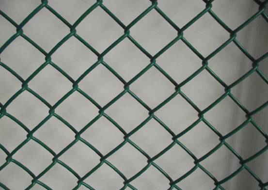 Green PVC coated diamond wire mesh